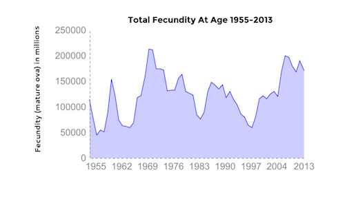 fecundity over time final2.png